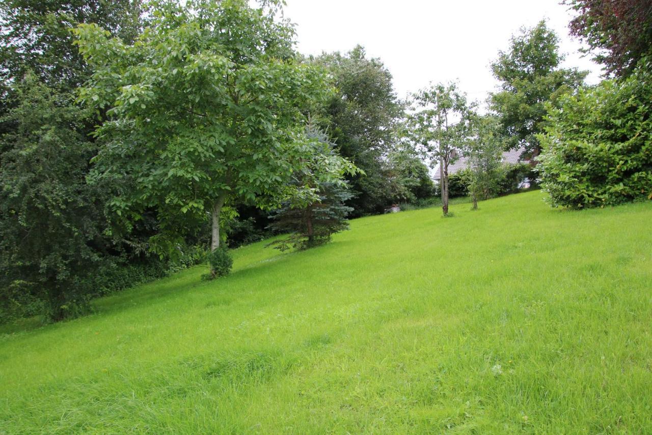 Ferienhaus Eifelnest Scheid  Luaran gambar